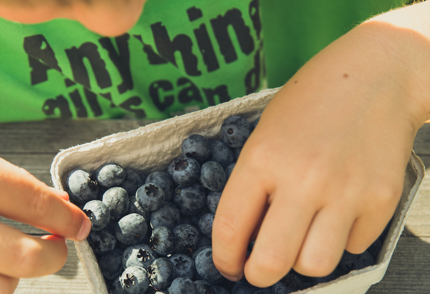 Best Foods to Help Your Child Focus