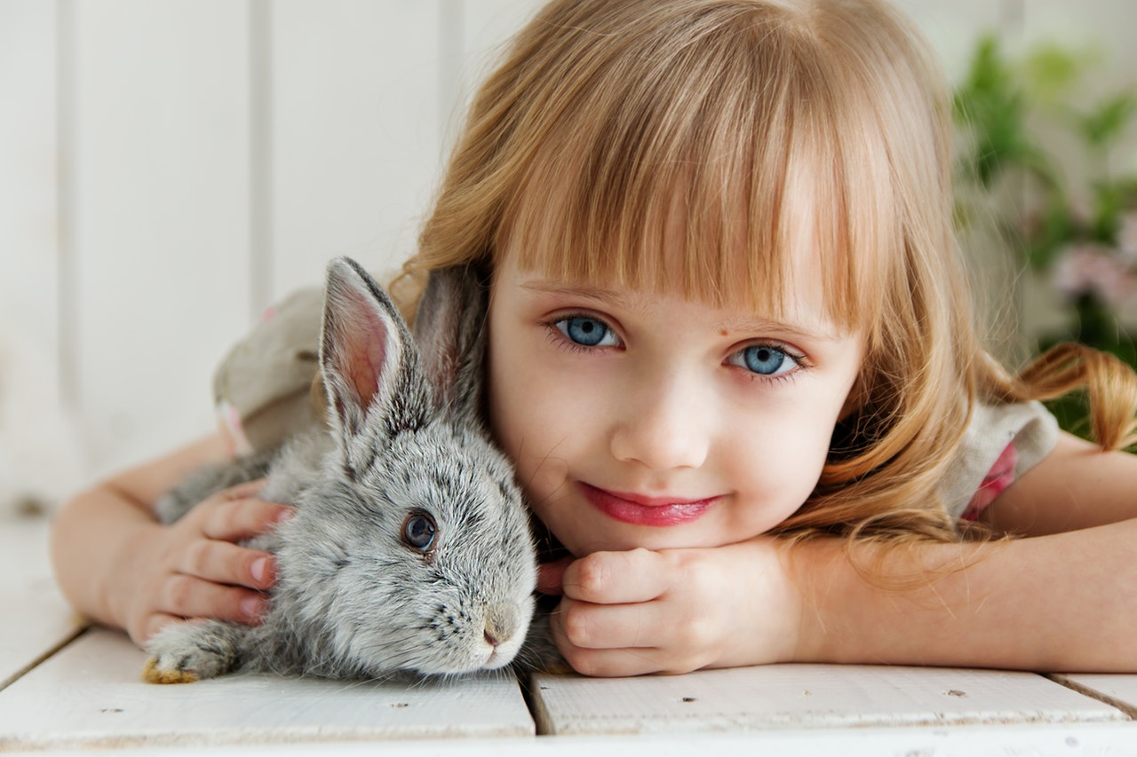 Calming and Therapeutic Pets for Kids