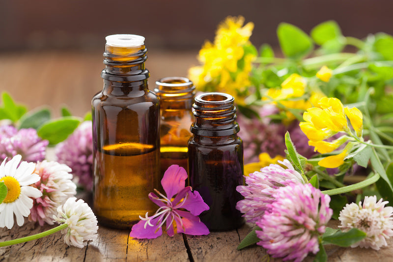 How Essential Oils Can Help a Child With Behavioral Issues