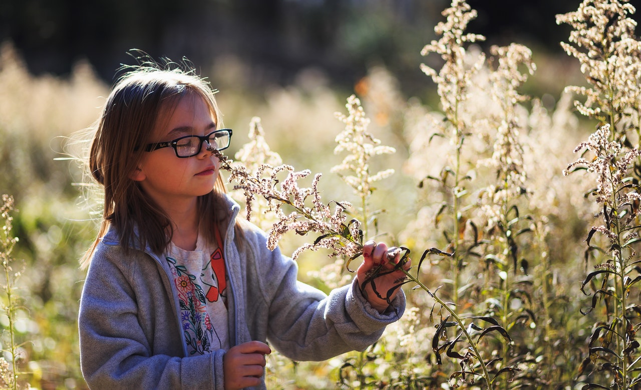 Why Exploring Nature is So Good for Your Kids